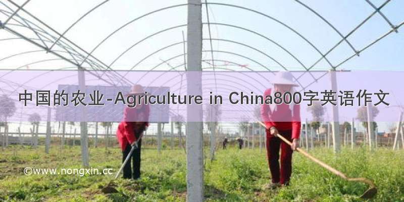 中国的农业-Agriculture in China800字英语作文