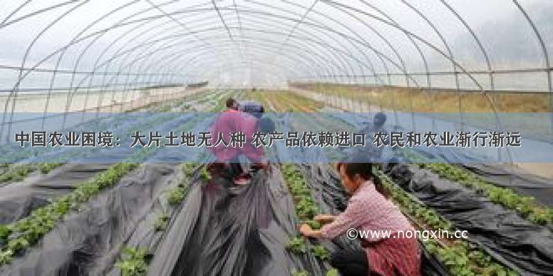 中国农业困境：大片土地无人种 农产品依赖进口 农民和农业渐行渐远