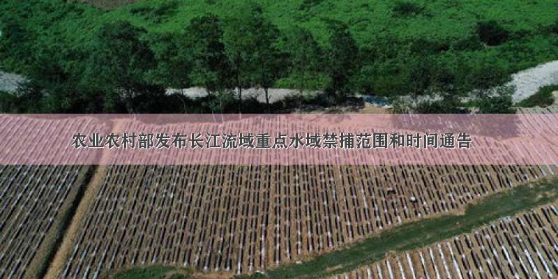 农业农村部发布长江流域重点水域禁捕范围和时间通告