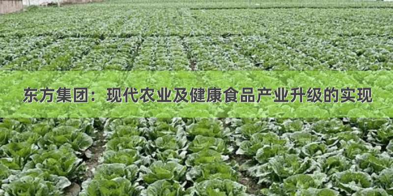 东方集团：现代农业及健康食品产业升级的实现