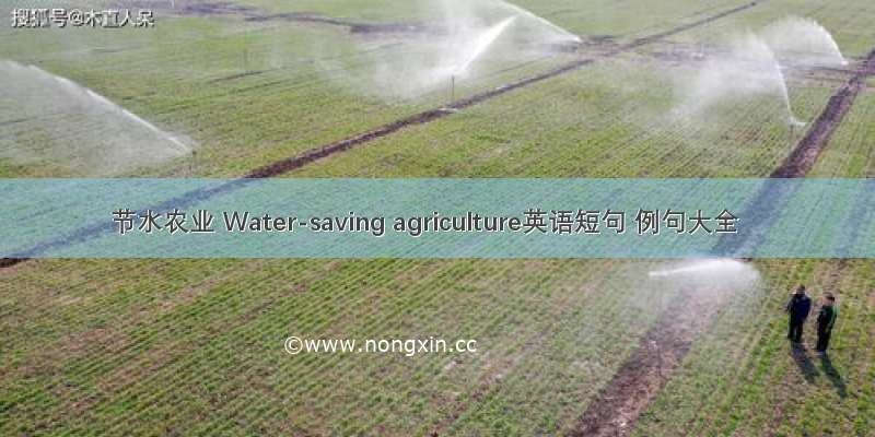 节水农业 Water-saving agriculture英语短句 例句大全