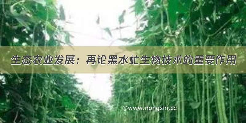 生态农业发展：再论黑水虻生物技术的重要作用