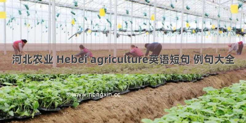 河北农业 Hebei agriculture英语短句 例句大全