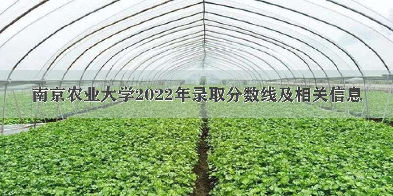 南京农业大学2022年录取分数线及相关信息