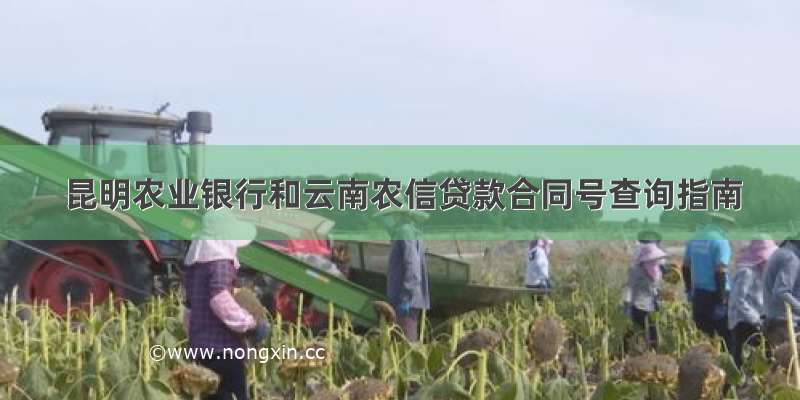 昆明农业银行和云南农信贷款合同号查询指南