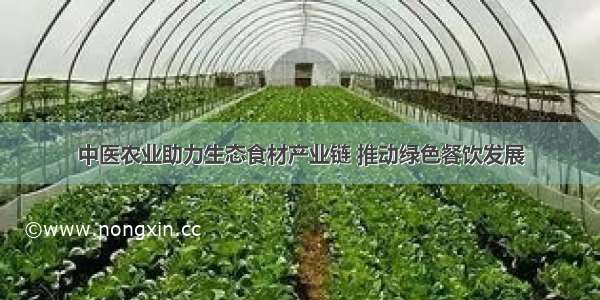 中医农业助力生态食材产业链 推动绿色餐饮发展