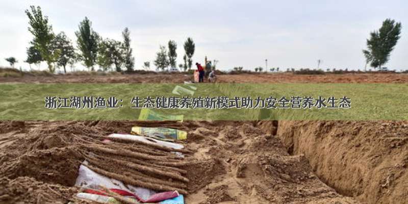 浙江湖州渔业：生态健康养殖新模式助力安全营养水生态