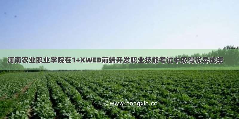 河南农业职业学院在1+XWEB前端开发职业技能考试中取得优异成绩