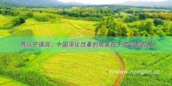 厉以宁强调：中国深化改革的依靠在于农业和农民