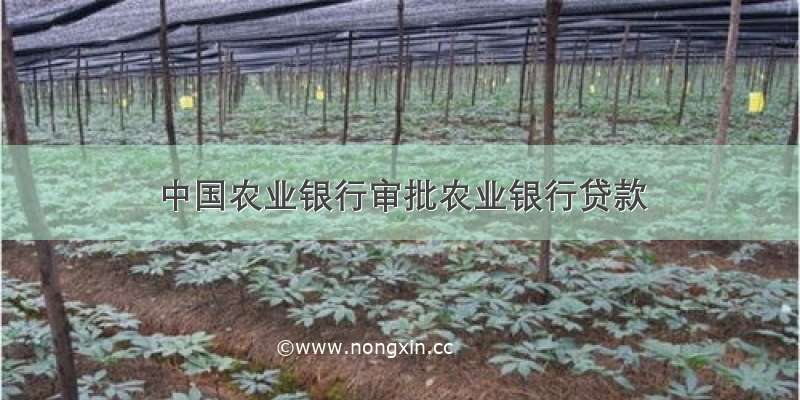 中国农业银行审批农业银行贷款