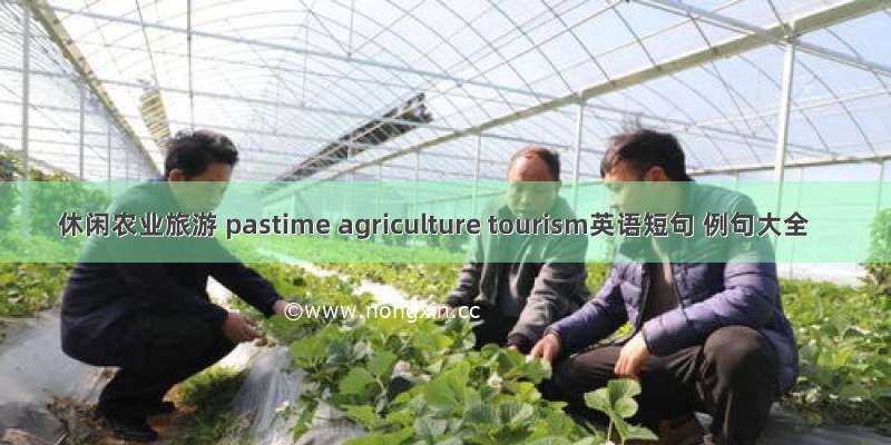 休闲农业旅游 pastime agriculture tourism英语短句 例句大全