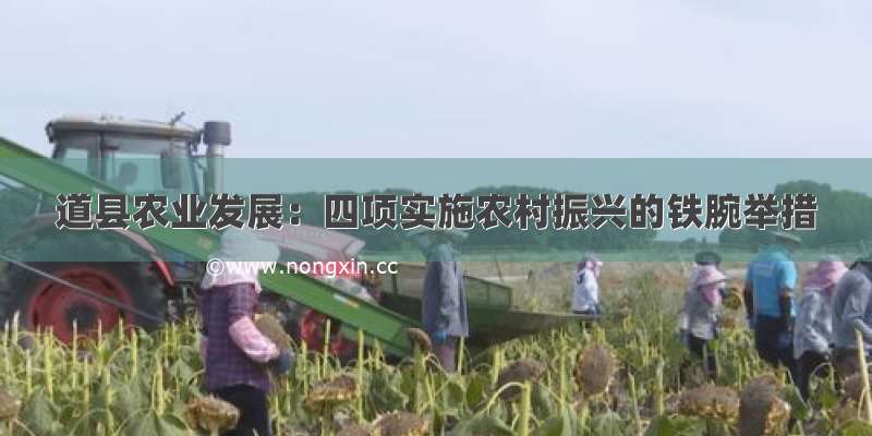 道县农业发展：四项实施农村振兴的铁腕举措