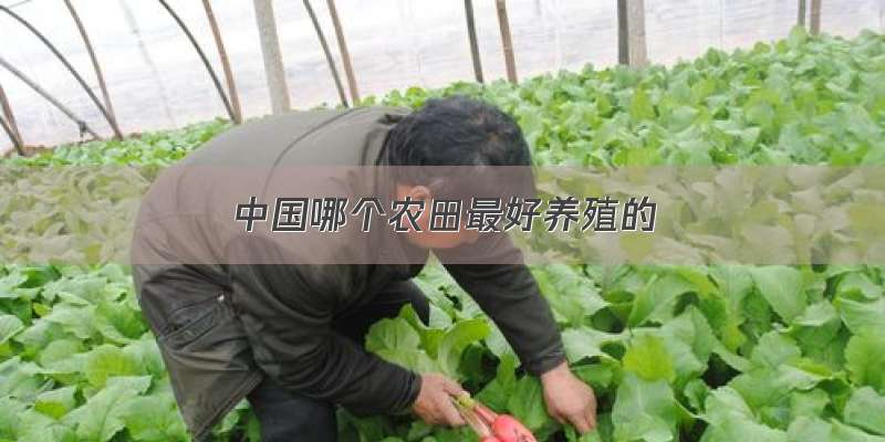 中国哪个农田最好养殖的