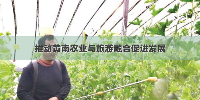 推动黄南农业与旅游融合促进发展
