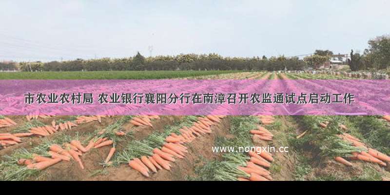 市农业农村局 农业银行襄阳分行在南漳召开农监通试点启动工作
