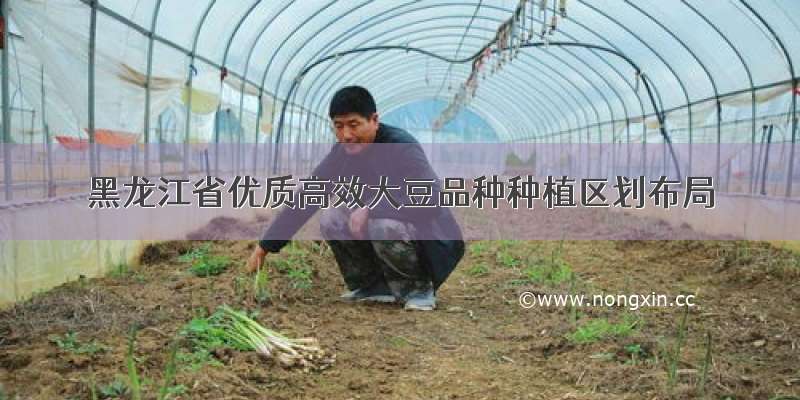 黑龙江省优质高效大豆品种种植区划布局