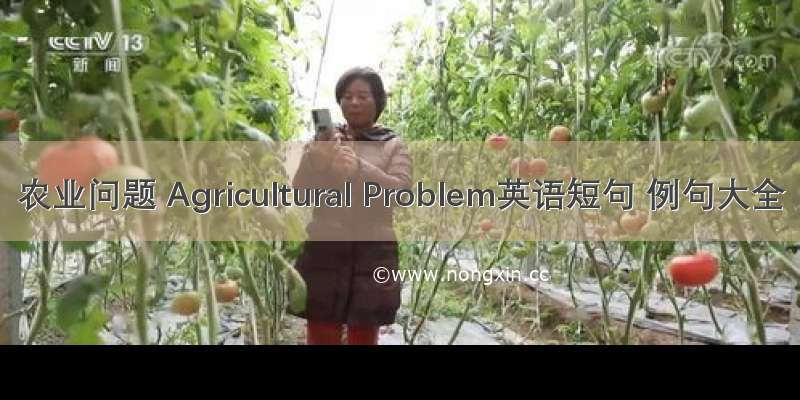 农业问题 Agricultural Problem英语短句 例句大全
