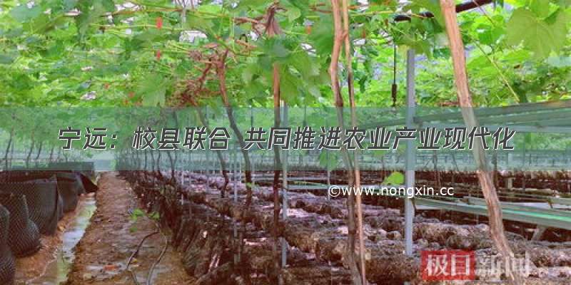 宁远：校县联合 共同推进农业产业现代化