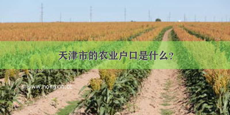 天津市的农业户口是什么？
