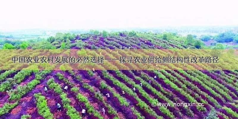 中国农业农村发展的必然选择——探寻农业供给侧结构性改革路径
