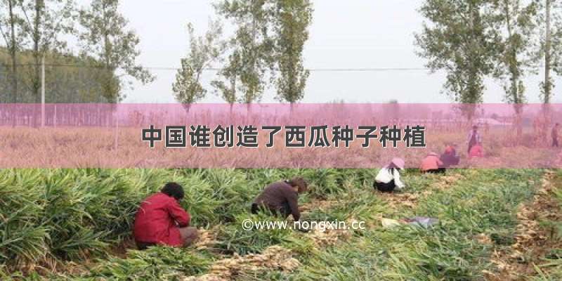 中国谁创造了西瓜种子种植