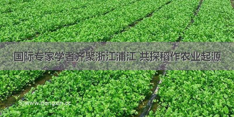 国际专家学者齐聚浙江浦江 共探稻作农业起源