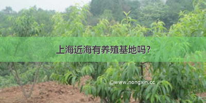 上海近海有养殖基地吗？