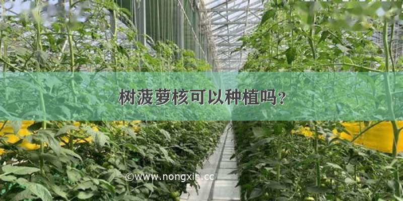 树菠萝核可以种植吗？