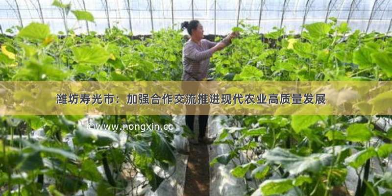 潍坊寿光市：加强合作交流推进现代农业高质量发展