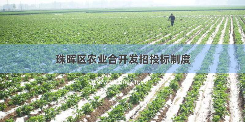 珠晖区农业合开发招投标制度