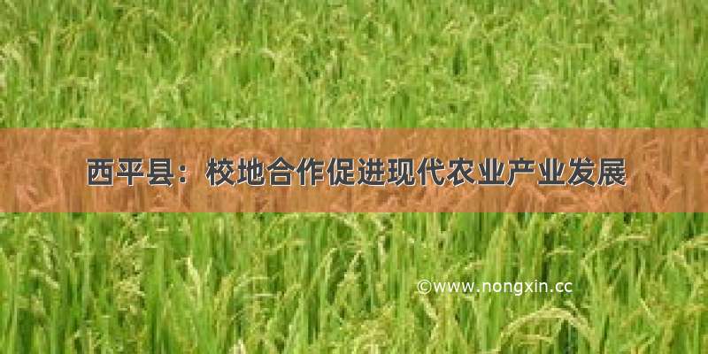 西平县：校地合作促进现代农业产业发展