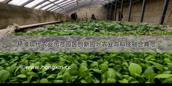 杨凌现代农业示范园区创新园：农业与科技融合典范