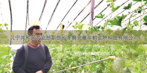 贝宁共和国农业部副部长考察安徽华韵生物科技有限公司