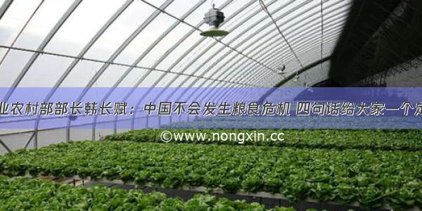 农业农村部部长韩长赋：中国不会发生粮食危机 四句话给大家一个定心