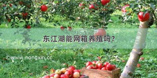 东江湖能网箱养殖吗？