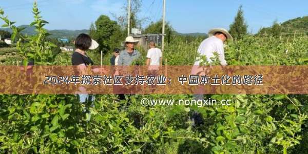 2024年探索社区支持农业：中国本土化的路径