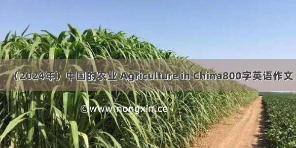 （2024年）中国的农业 Agriculture in China800字英语作文