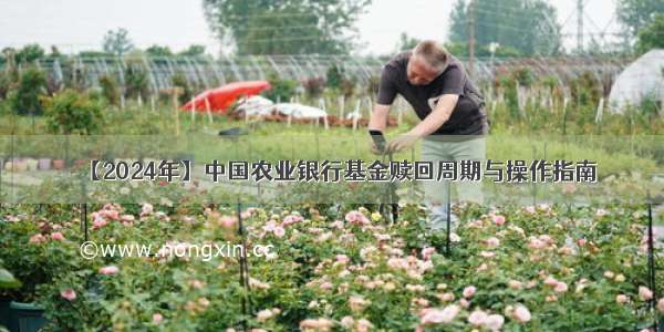 【2024年】中国农业银行基金赎回周期与操作指南