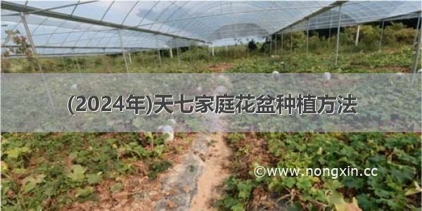 (2024年)天七家庭花盆种植方法