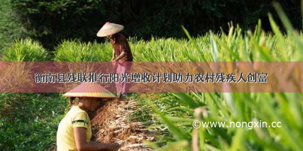 衡南县残联推行阳光增收计划助力农村残疾人创富