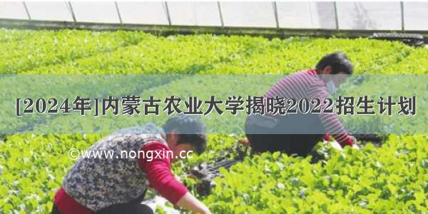 [2024年]内蒙古农业大学揭晓2022招生计划