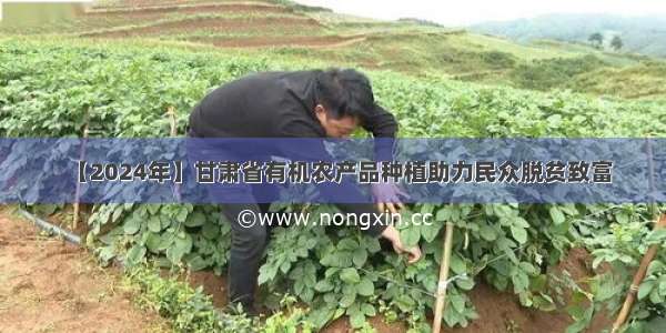 【2024年】甘肃省有机农产品种植助力民众脱贫致富