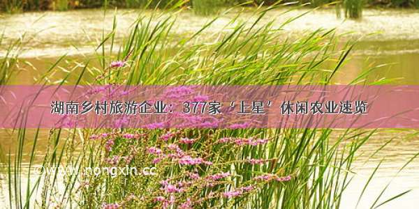 湖南乡村旅游企业：377家‘上星’休闲农业速览