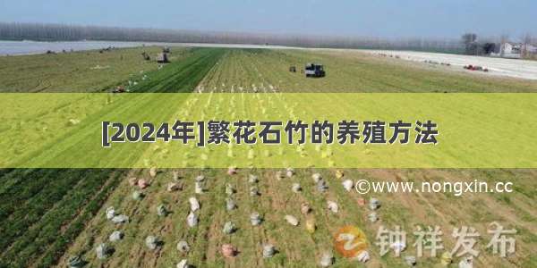 [2024年]繁花石竹的养殖方法