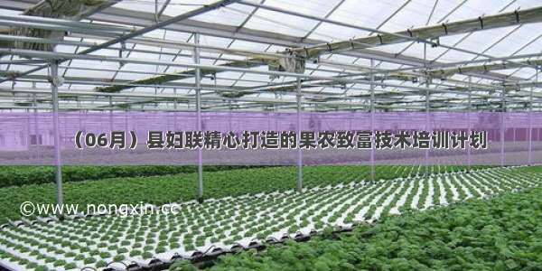 （06月）县妇联精心打造的果农致富技术培训计划