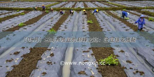 （06月）云南养殖业的巅峰之路：企业排名揭秘