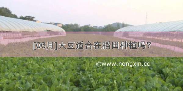 [06月]大豆适合在稻田种植吗？