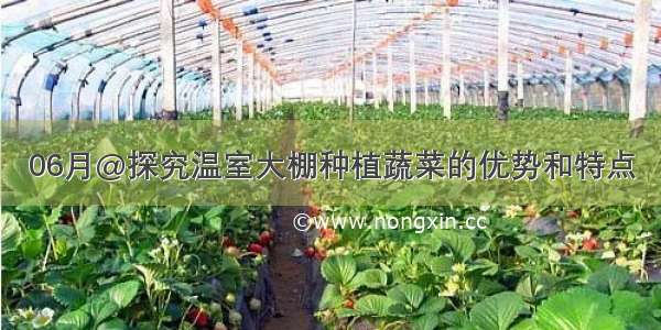 06月@探究温室大棚种植蔬菜的优势和特点