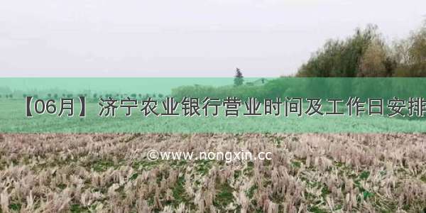 【06月】济宁农业银行营业时间及工作日安排
