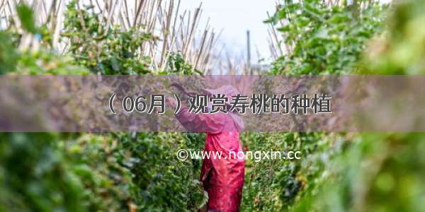 （06月）观赏寿桃的种植